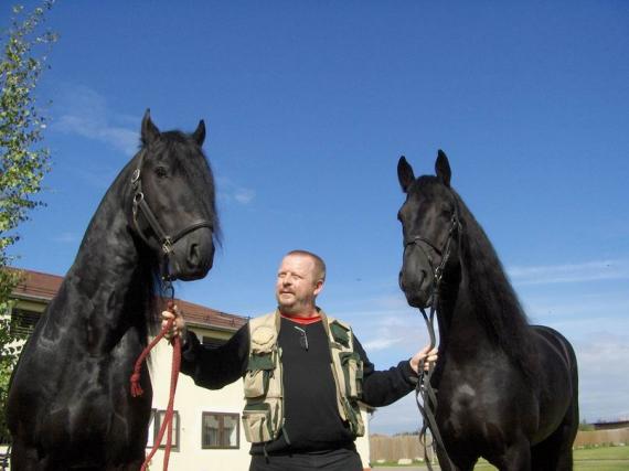 Horses in the elGephest  style