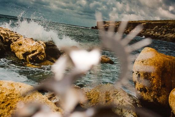 �������� ���� ����� (�����������)