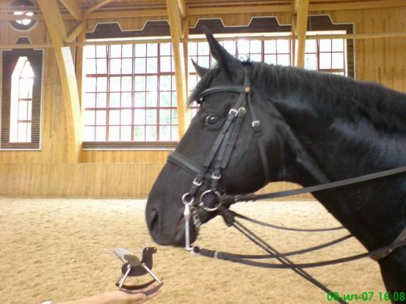 ���� ������� ���������� ����� (www.topnews.org.ua)