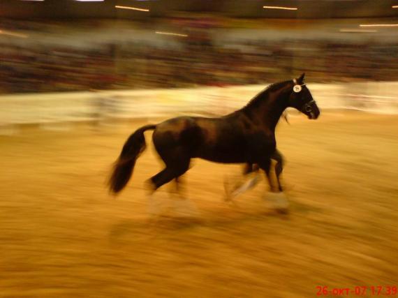 ''Die Olympische Triade?'' - 