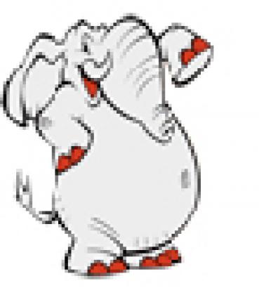 ��� ���� - ���������� �������� ������� 